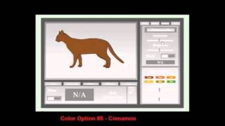 Realistic Cat Creator Video 1  Color Options [upl. by Hetty]