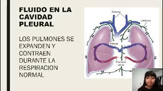 Circulación pulmonar y Edema Pulmonar Mariana Domínguez Pérez [upl. by Akiem82]