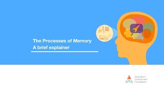 The Processes of Memory A brief explainer [upl. by Euginimod]