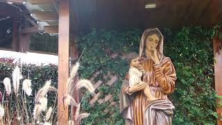 Misericordia y Caridad Evangelio​DeHoy 26 Enero 2024 PadreJohnAlbeiroMontoya FamiliaHosanna [upl. by Chace108]