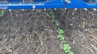 Treffler TS Precision Tine Harrow in residue slow motion [upl. by Argela]