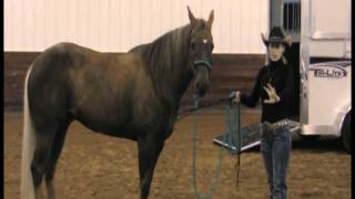 Stacy Westfall horse training lesson with Twilite Trailers  Part 1 [upl. by Aitnahs493]