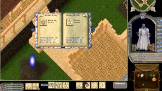 Ultima Online  089  Paladin  Training Chivalry [upl. by Silsbye18]