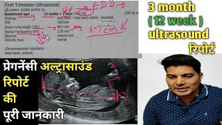 12 week ultrasound  sonography se kaise jane ladka hai ya ladki  6 week ultrasound  trimester [upl. by Pardner28]