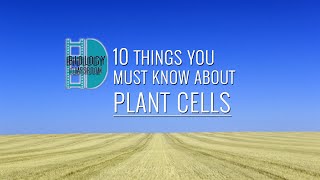 ALevel Biology  10 things you have to know about plant cells [upl. by Jaal]