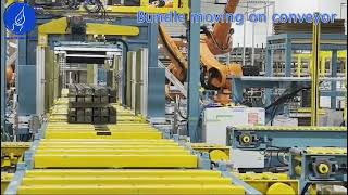 Conveyor Systems Canada  Automated Storage Retrieval System ASRS Industrial Automation amp Robotics [upl. by Wonacott]