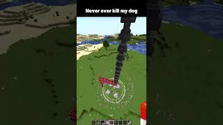 Minecraft dog meme [upl. by Eiramait]