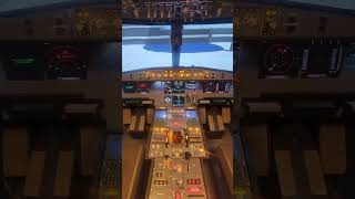 Airbus A320 Home Cockpit Cold and Dark Startup with real gyro start up sound [upl. by Igal550]