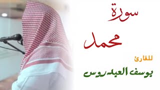 سورة محمد كاملة للقارئ يوسف العيدروس [upl. by Vel]