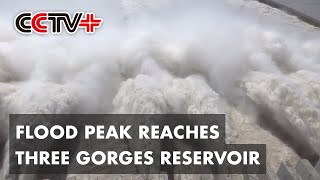 Flood Peak Reaches Chinas Three Gorges Reservoir [upl. by Nuyh]