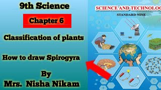 How to draw Spirogyra [upl. by Notxarb]