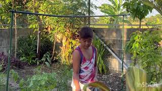 Holidays in Philippines 🇵🇭Meet Family and Friends Pinas Life Simple The Best 🌳🌴🥑🍍🍇🍒 [upl. by Arammat]