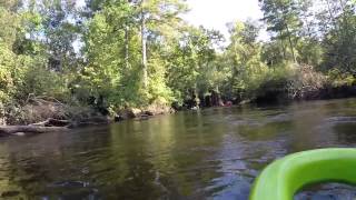 Nottoway River Kayak Courtland Virginia [upl. by Pilif]