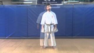 Shisochin Kata DVD Excerpts [upl. by Hollander56]