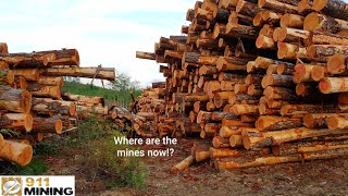 Logging Destroyed Our Mineral Claim [upl. by Mersey]