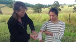 Comfrey Uses amp Comfrey Poultice Demonstration [upl. by Welby841]