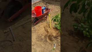 How to Kill gophers moles voles rats snakes [upl. by Anahsahs399]