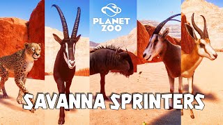 Cheetah Sable Antelope Blue Wildebeest ScimitarHorned Oryx Springbok  Planet Zoo Animal Race [upl. by Ynaffet]