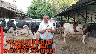 DAIRY FARMING IN KENYADairy farming is part of my retirement plansI want to increase my production [upl. by Geminius]