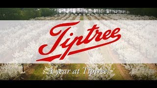 A Year at Tiptree [upl. by Ranzini709]