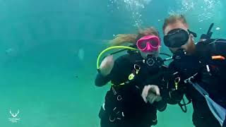 Deerfield Beach Underwater Pier Cleanup 2024 [upl. by Olrac]