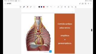 monitoria fisiologia contratação do mcardiaco 2 [upl. by Leviram]