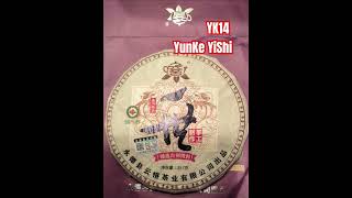 YK14 Gushu Ripped Puerh mangfeishan puerhtea [upl. by Yenroc]