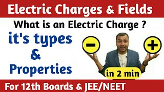 What is an Electric Charge  Physics Wallah  Alakh Pandey  myacademy247 [upl. by Nevet712]