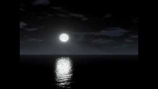 Beethoven Moonlight Sonata 2nd movement HD [upl. by Yesnel]