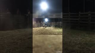 Que muntada🤠💥rodeio rodeiohoje boi nellore cowboys videos videoviral peao lida treino [upl. by Gan]