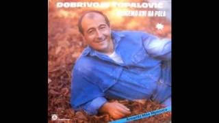 Dobrivoje Topalovic  Idi mala idi  Audio 1987 HD [upl. by Spoor296]