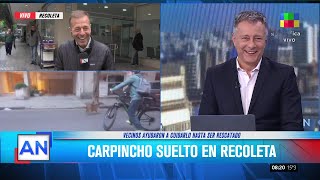 Carpincho en Recoleta la inesperada visita que sorprendió a todos [upl. by Chil]