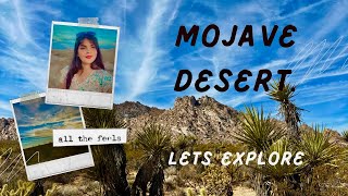 Let’s explore Mojave Desert in California usa 🇺🇸subscribe viralvideo likeforlikescomment 👇 [upl. by Dixil852]