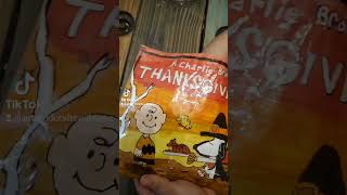 A Charlie brown Thanksgiving Blind Bag snoopy peanuts thanksforwatching [upl. by Ennayhc]