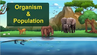 Organisms and Populations  NCERT Chapter Explained Class 12 Biology [upl. by Ailekat]