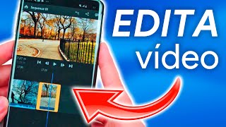 Los MEJORES EDITORES de VÍDEO para iPhone y ANDROID [upl. by Anselm]