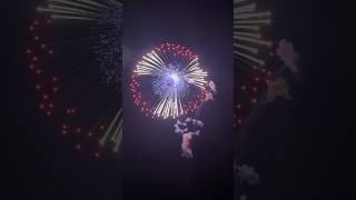 Best Sky Shots ever 2024 😱 diwalistash2024 skyshots crackers [upl. by Blanc]