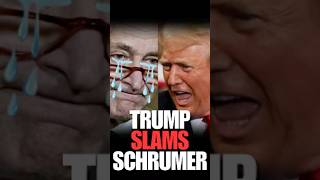 President Trump SLAMS Chuck Schrumer for THIS 😱🚨 shorts [upl. by Felder]