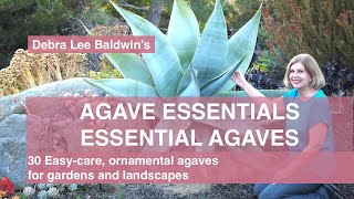 Agave Essentials 30 easycare ornamental agaves for gardens and landscapes [upl. by Oitaroh]