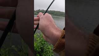 Alaska fly fisherman sportfishing fishing sportfish flyfisherman sport alaska fly trout [upl. by Ennairb]