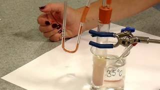 Rate of Respiration in Yeast [upl. by Brooking]