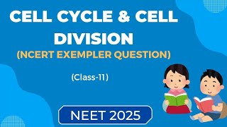 Cell cycle and cell division ncert exemplerClass 11NEET 2025ncert based mcqs [upl. by Fates228]