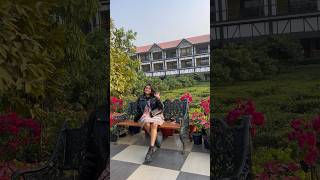 Brunch buffet at Mayfair Tea and Resort😍 ytshort shortsvideo tasteofsiliguri mayfair [upl. by Nollahp]