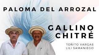 Toñito Vargas y Lili Samaniego Gallino Chitré Paloma del Arrozal [upl. by Sivar]