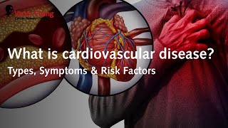 What is cardiovascular disease  Victor Chang Cardiac Research Institute [upl. by Oicnedurp180]