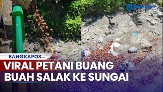 Viral Petani Buang Buah Salak ke Sungai Aksinya Banjir Komentar [upl. by Emylee278]