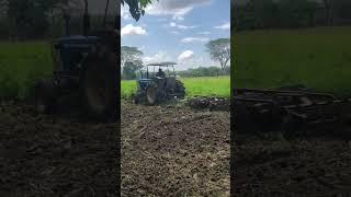 Ford 5000 en preparación de tierras 🚜🤠💪 maquinasagricolas agriculture tractorista agro [upl. by Macfarlane]