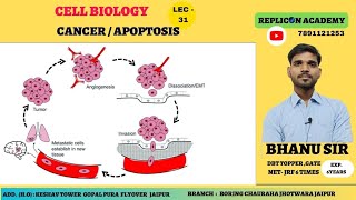 Cancer Apoptosis ll extrinsic pathway apoptosis ll necrosis ll Programmed cell death ll PCD [upl. by Annovad]