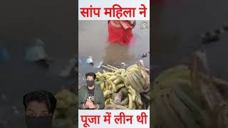 छठ पूजा के दौरान पानी में तैरते हुए आया सांप shorts chhathpuja [upl. by Stegman618]