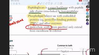 Microbiology 1st Class  Structure of Bacteria in URDUHINDI [upl. by Leuqar]